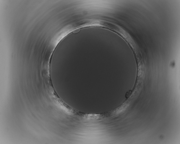 X0000111800858200907301208