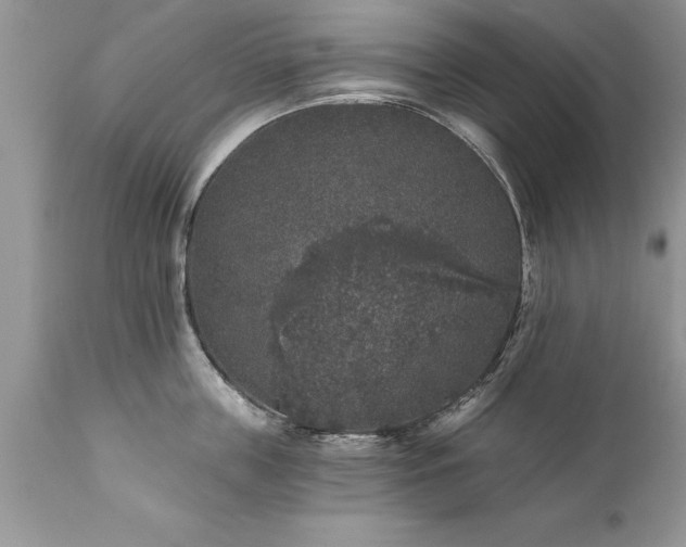 X0000111800859200907301208
