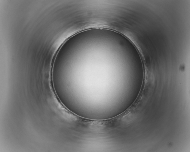 X0000111800861200907301208
