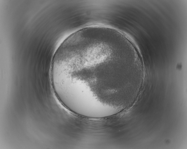 X0000111800863200907301208