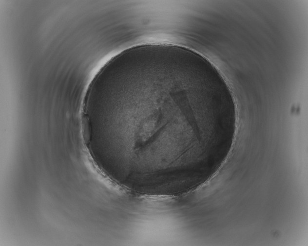X0000111800864200907301208