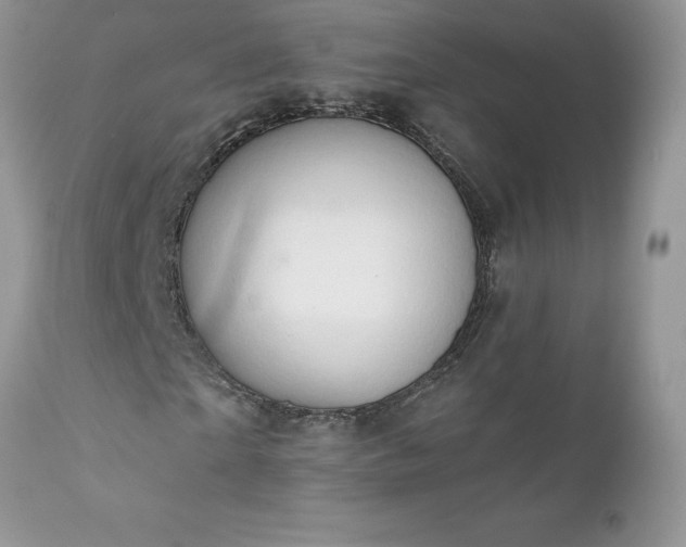 X0000111800865200907301207