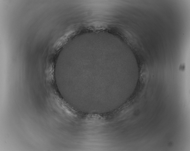 X0000111800866200907301207