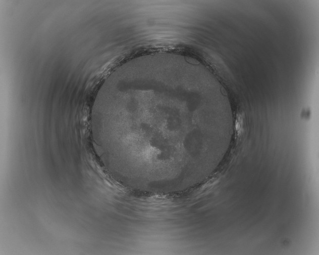 X0000111800867200907301207