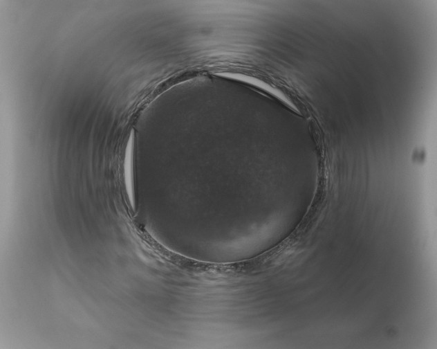 X0000111800868200907301207