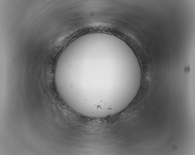 X0000111800869200907301207