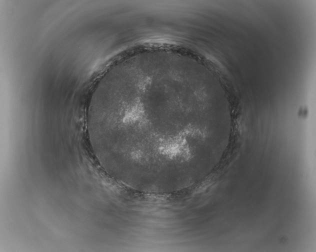 X0000111800870200907301207