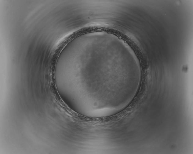X0000111800872200907301207