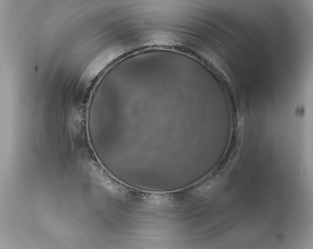 X0000111800874200907301207