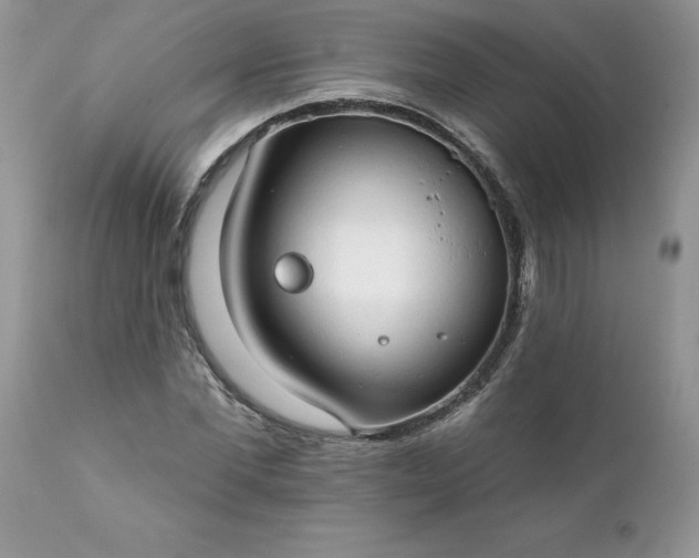 X0000111800877200907301207