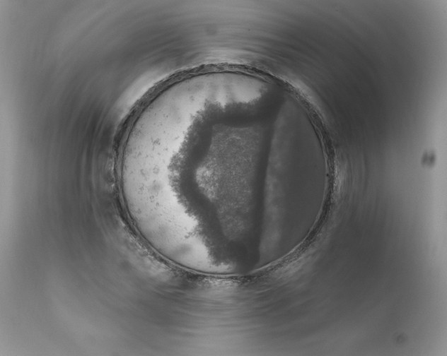 X0000111800878200907301207