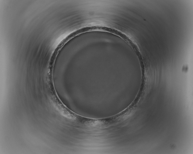 X0000111800879200907301207