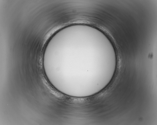 X0000111800882200907301207