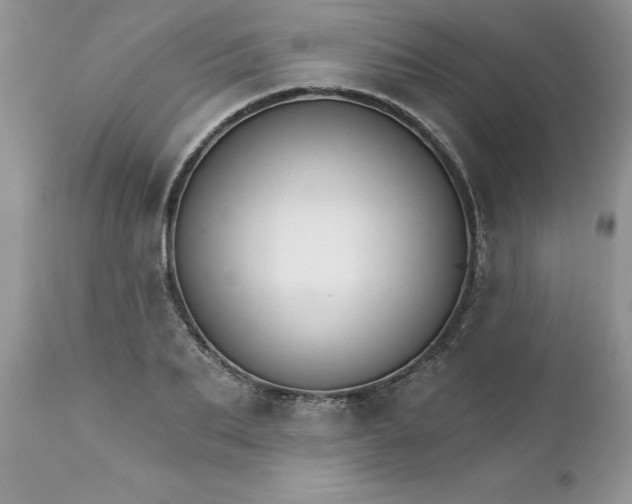 X0000111800887200907301206