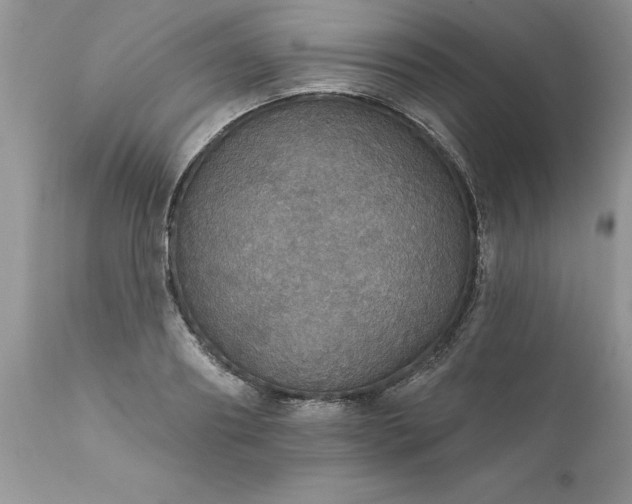 X0000111800890200907301206