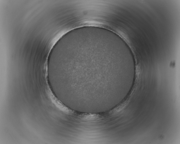 X0000111800891200907301206