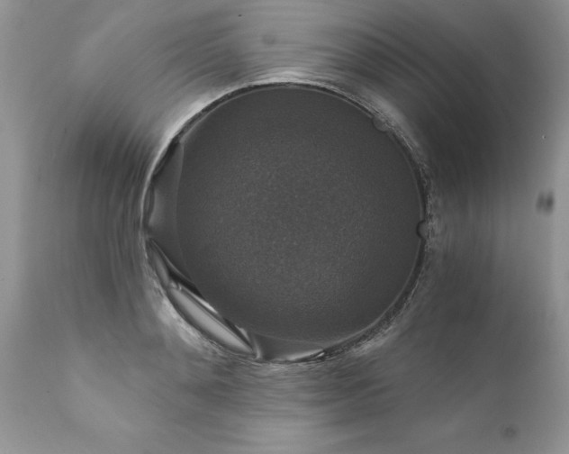 X0000111800892200907301206
