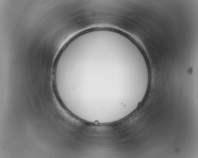 X0000111800895200907301206
