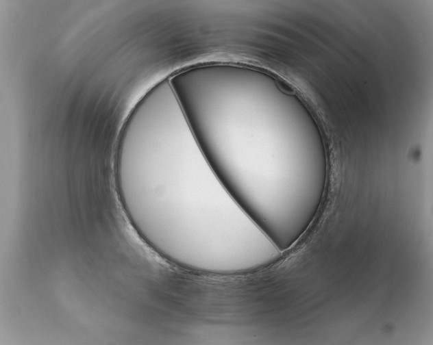 X0000111800896200907301206