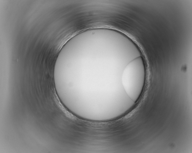 X0000111800897200907301206