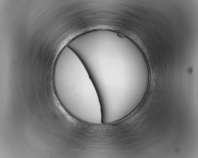 X0000111800898200907301206