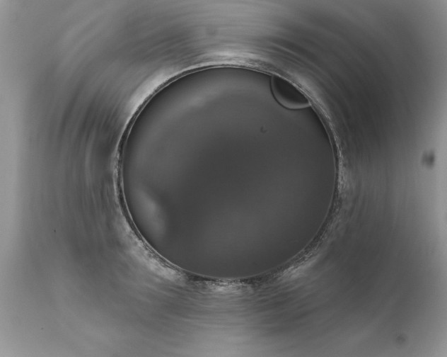X0000111800899200907301206