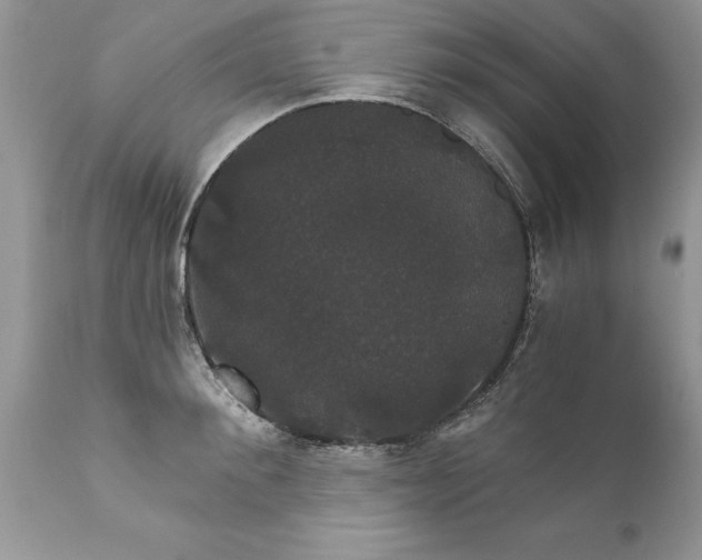X0000111800900200907301206
