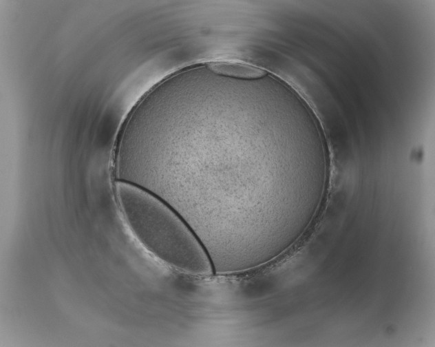 X0000111800901200907301206