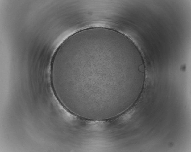 X0000111800902200907301206