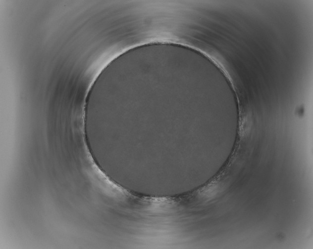 X0000111800903200907301206