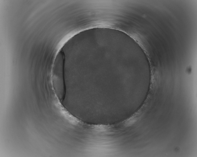 X0000111800904200907301206