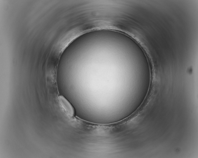 X0000111800905200907301206
