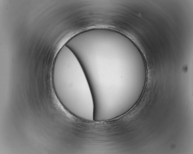 X0000111800906200907301206