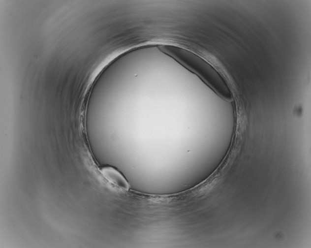 X0000111800908200907301206