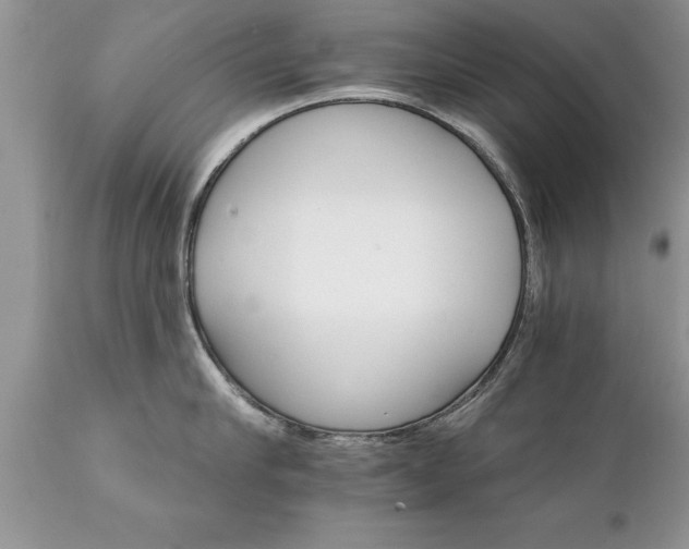 X0000111800910200907301206