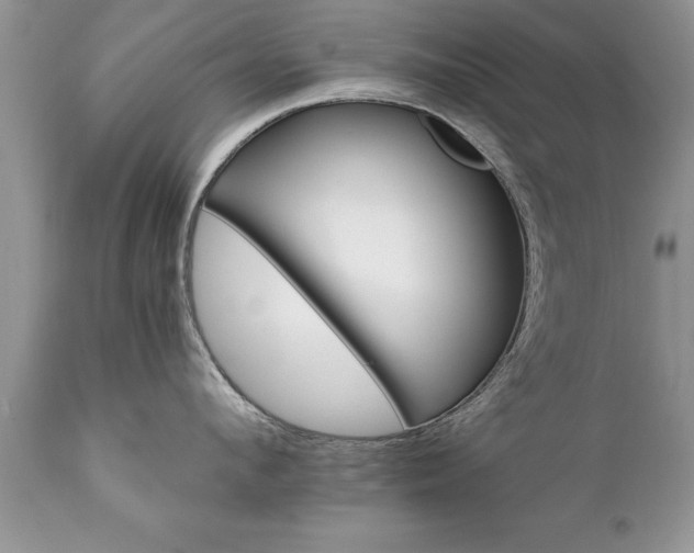 X0000111800912200907301206