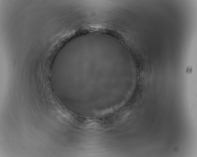 X0000111800913200907301205