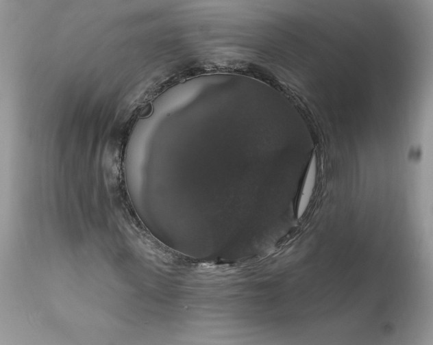 X0000111800915200907301205