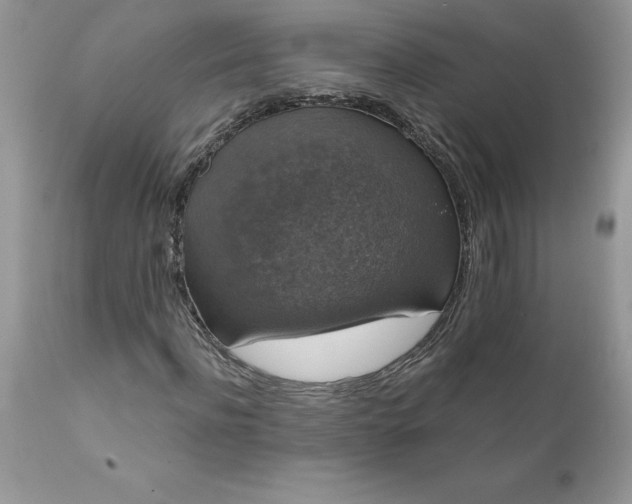 X0000111800916200907301205