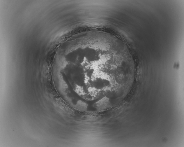 X0000111800917200907301205