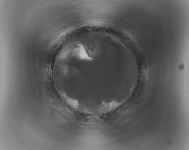 X0000111800918200907301206
