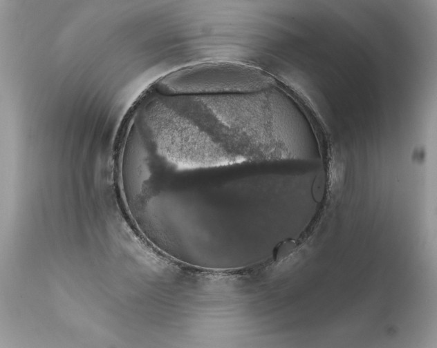 X0000111800924200907301206