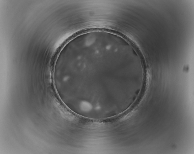 X0000111800925200907301206