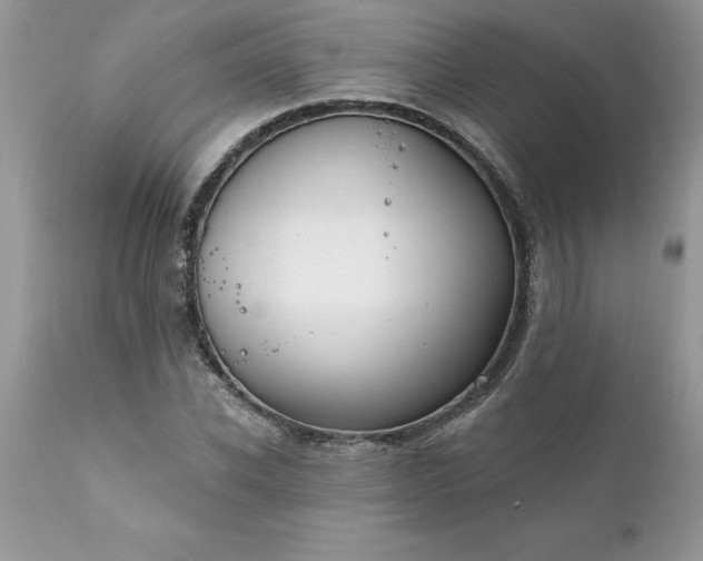 X0000111800926200907301206