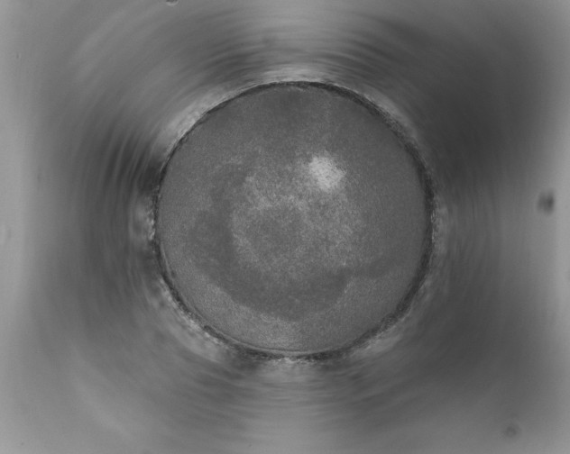 X0000111800929200907301206