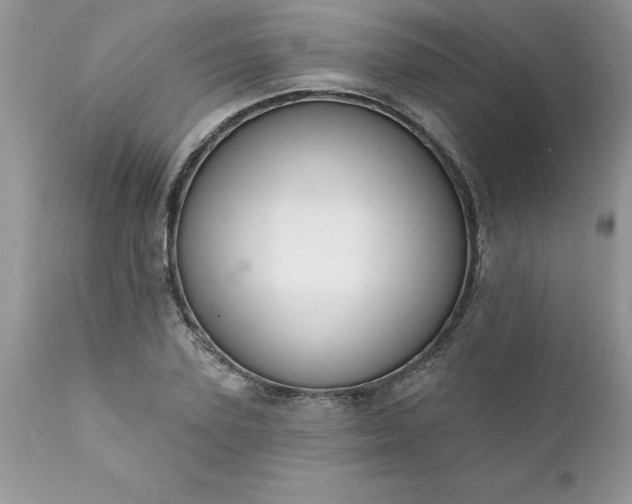 X0000111800931200907301206