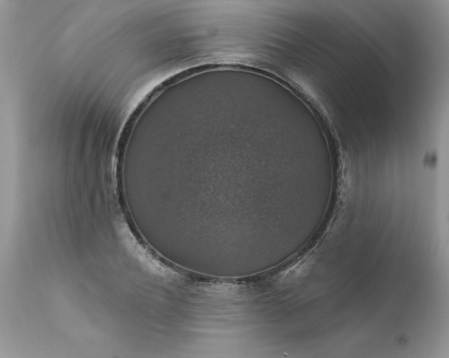 X0000111800932200907301206
