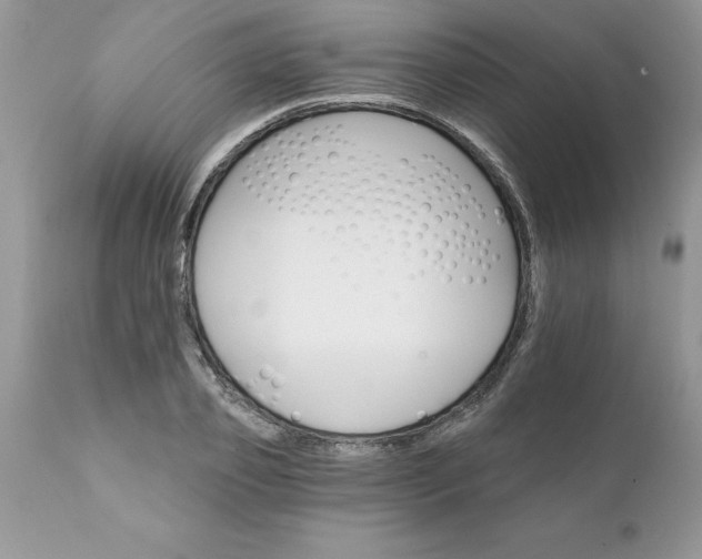 X0000111800933200907301206