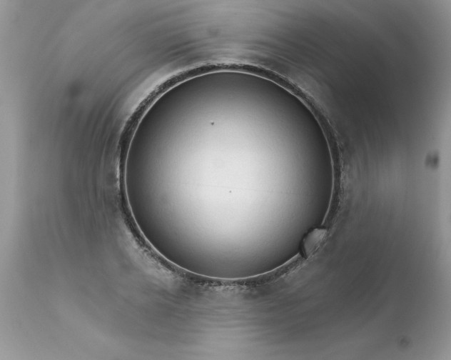 X0000111800934200907301206