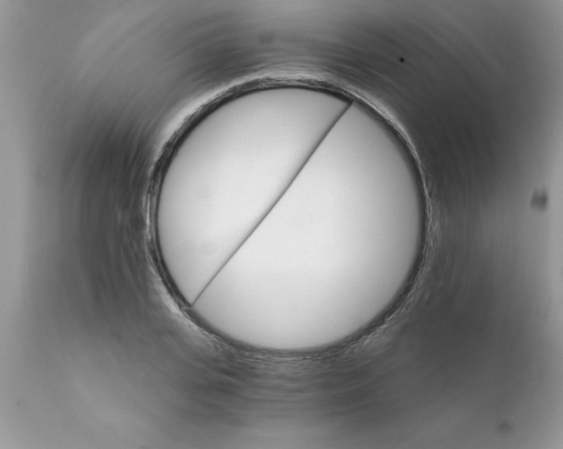 X0000111800935200907301206